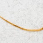 Sogonidae