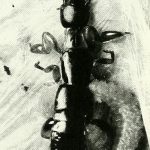 Anisembiidae