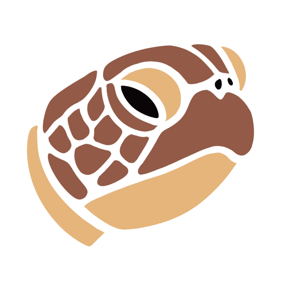 Tortuga Boba Xaloc Mar